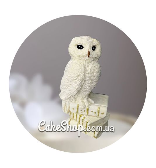 ⋗ Шоколадная фигурка Сова на книгах ТМ ДимК купить в Украине ➛ CakeShop.com.ua, фото