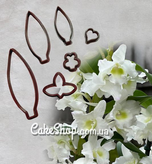 ⋗ Набір пластикових каттерів Дендробіум купити в Україні ➛ CakeShop.com.ua, фото